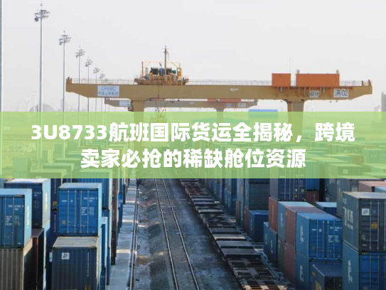 3U8733航班国际货运全揭秘，跨境卖家必抢的稀缺舱位资源