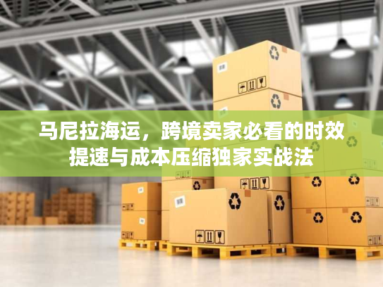 马尼拉海运，跨境卖家必看的时效提速与成本压缩独家实战法