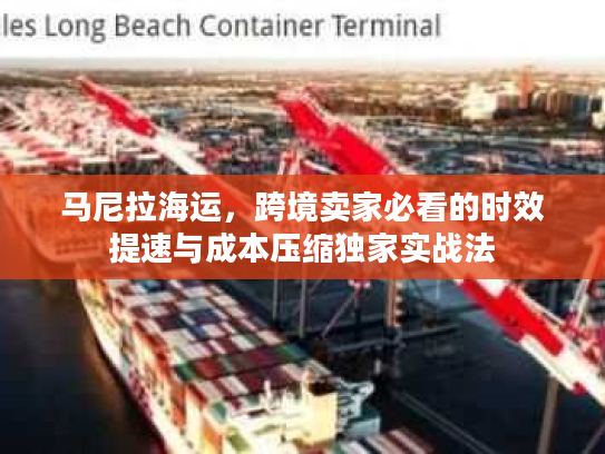 马尼拉海运，跨境卖家必看的时效提速与成本压缩独家实战法