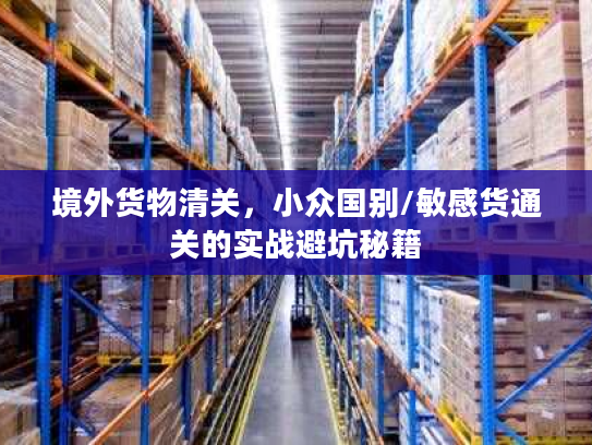 境外货物清关，小众国别/敏感货通关的实战避坑秘籍