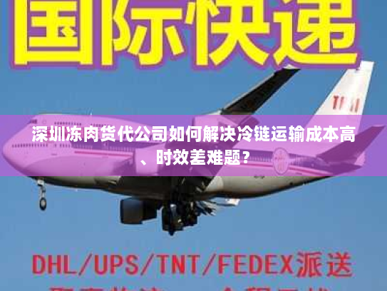 深圳冻肉货代公司如何解决冷链运输成本高、时效差难题？