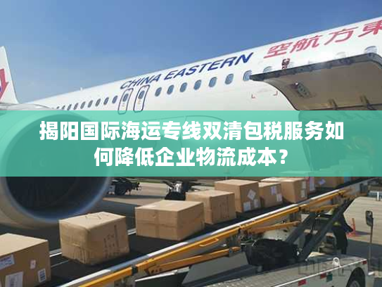 揭阳国际海运专线双清包税服务如何降低企业物流成本？