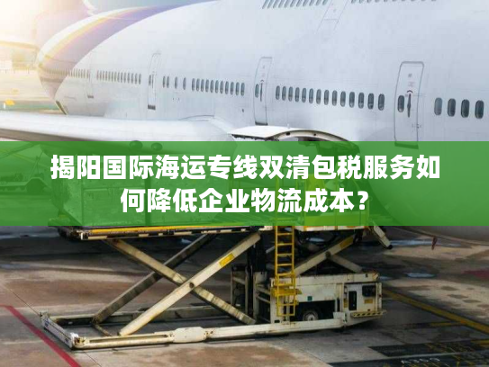 揭阳国际海运专线双清包税服务如何降低企业物流成本？