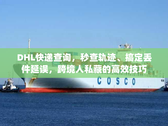 DHL快递查询，秒查轨迹、搞定丢件延误，跨境人私藏的高效技巧