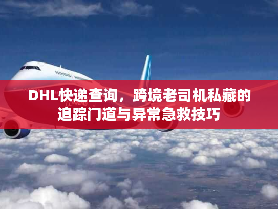 DHL快递查询，跨境老司机私藏的追踪门道与异常急救技巧