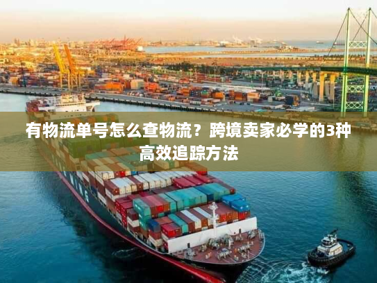 有物流单号怎么查物流？跨境卖家必学的3种高效追踪方法