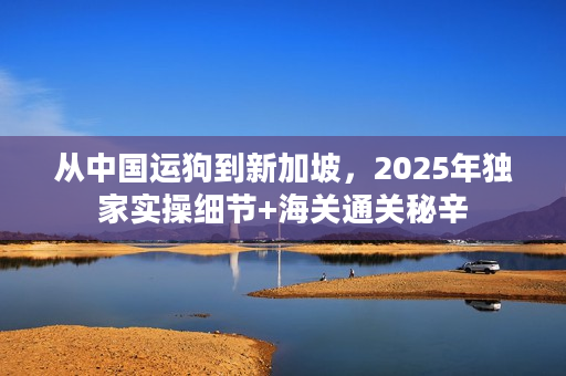 从中国运狗到新加坡，2025年独家实操细节+海关通关秘辛