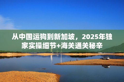 从中国运狗到新加坡，2025年独家实操细节+海关通关秘辛