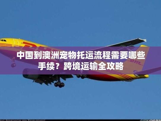 中国到澳洲宠物托运流程需要哪些手续?跨境运输全攻略 中国到澳洲宠物托运流程需要哪些手续?跨境运输全攻略