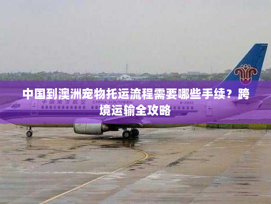 中国到澳洲宠物托运流程需要哪些手续？跨境运输全攻略