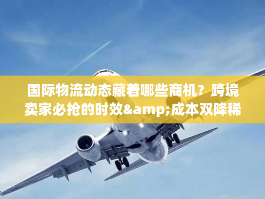 国际物流动态藏着哪些商机？跨境卖家必抢的时效&成本双降稀缺方案