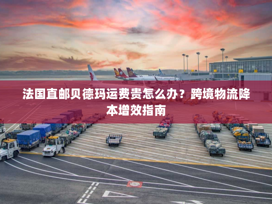 法国直邮贝德玛运费贵怎么办？跨境物流降本增效指南