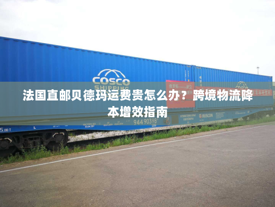 法国直邮贝德玛运费贵怎么办？跨境物流降本增效指南
