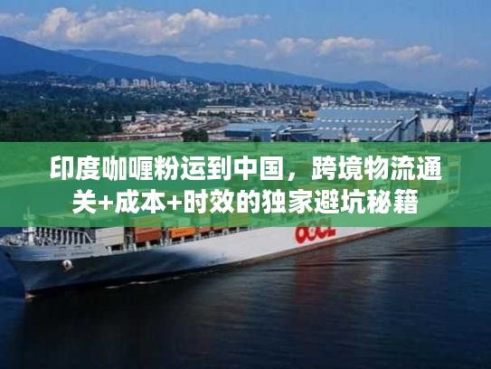 印度咖喱粉运到中国，跨境物流通关+成本+时效的独家避坑秘籍