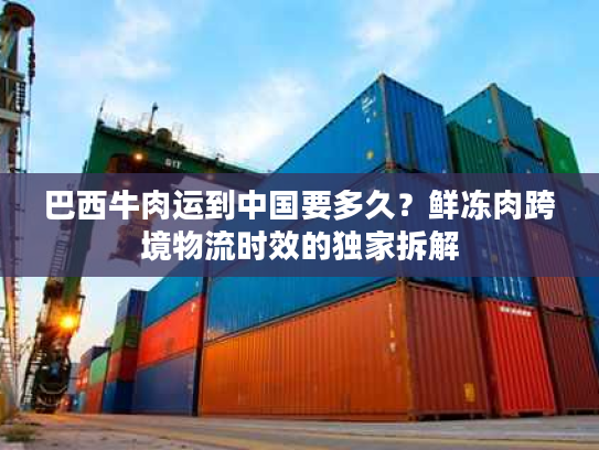 巴西牛肉运到中国要多久？鲜冻肉跨境物流时效的独家拆解