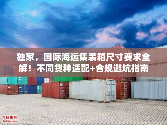 独家，国际海运集装箱尺寸要求全解！不同货种适配+合规避坑指南