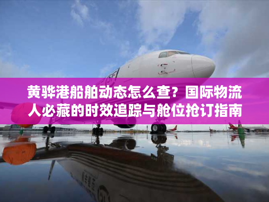 黄骅港船舶动态怎么查？国际物流人必藏的时效追踪与舱位抢订指南