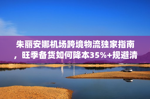 朱丽安娜机场跨境物流独家指南，旺季备货如何降本35%+规避清关延误？