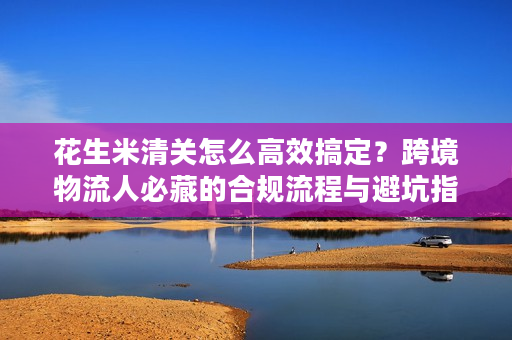 花生米清关怎么高效搞定？跨境物流人必藏的合规流程与避坑指南