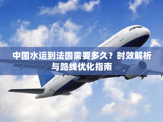 中国水运到法国需要多久？时效解析与路线优化指南