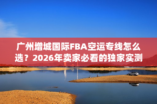 广州增城国际FBA空运专线怎么选？2026年卖家必看的独家实测避坑全攻略