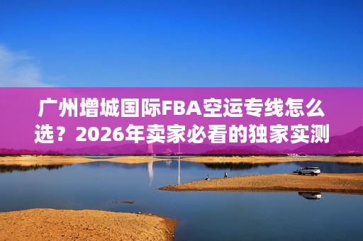 广州增城国际FBA空运专线怎么选？2026年卖家必看的独家实测避坑全攻略