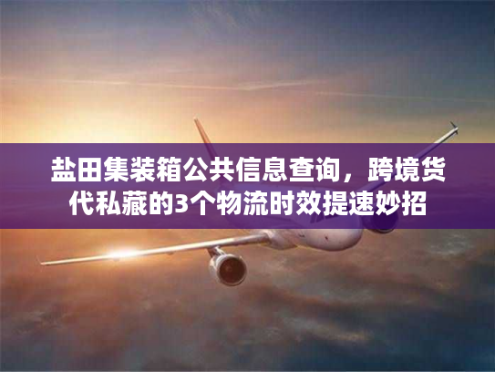 盐田集装箱公共信息查询，跨境货代私藏的3个物流时效提速妙招