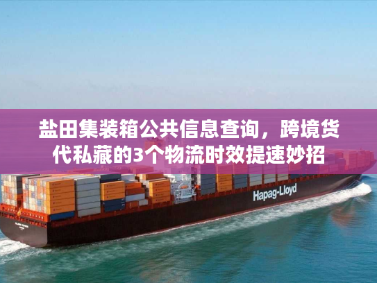 盐田集装箱公共信息查询，跨境货代私藏的3个物流时效提速妙招