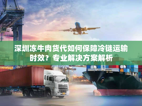 深圳冻牛肉货代如何保障冷链运输时效？专业解决方案解析