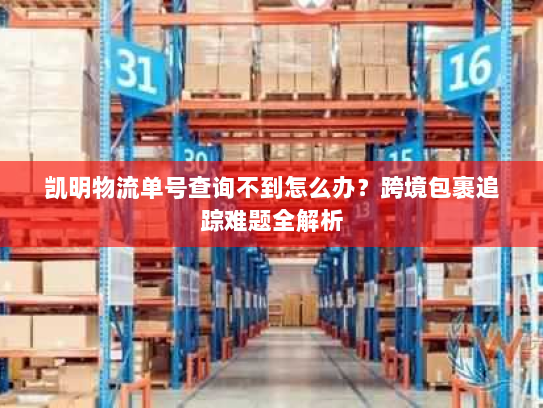 凯明物流单号查询不到怎么办？跨境包裹追踪难题全解析