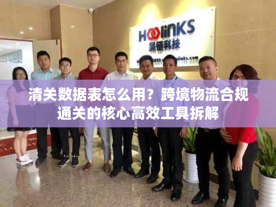 清关数据表怎么用？跨境物流合规通关的核心高效工具拆解