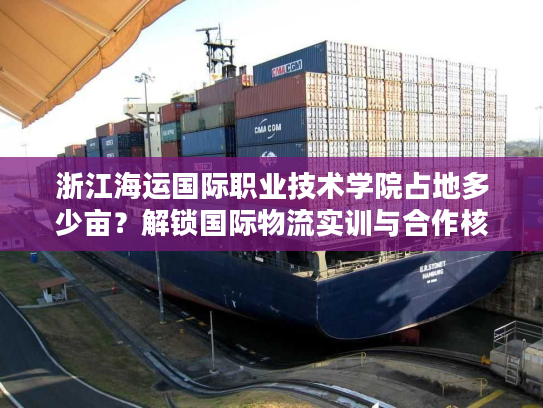 浙江海运国际职业技术学院占地多少亩？解锁国际物流实训与合作核心资源