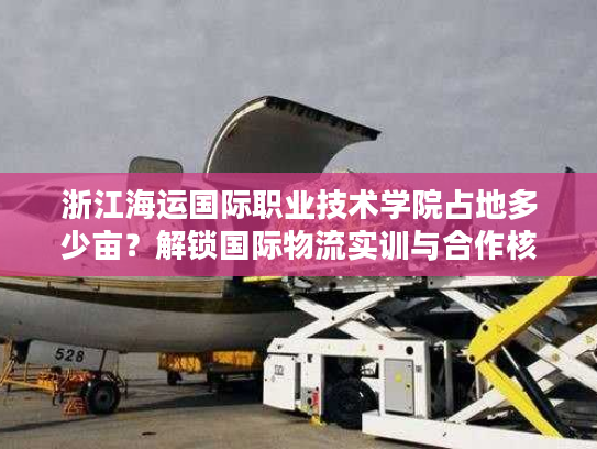 浙江海运国际职业技术学院占地多少亩？解锁国际物流实训与合作核心资源