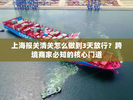 上海报关清关怎么做到3天放行？跨境商家必知的核心门道