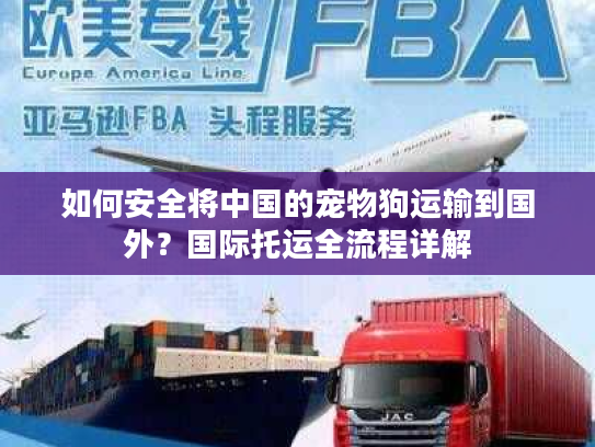 如何安全将中国的宠物狗运输到国外？国际托运全流程详解