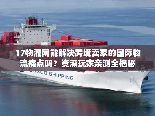17物流网能解决跨境卖家的国际物流痛点吗？资深玩家亲测全揭秘