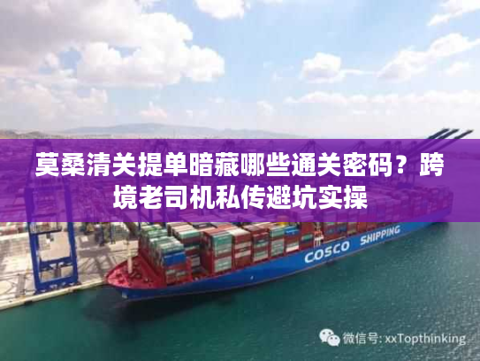 莫桑清关提单暗藏哪些通关密码？跨境老司机私传避坑实操
