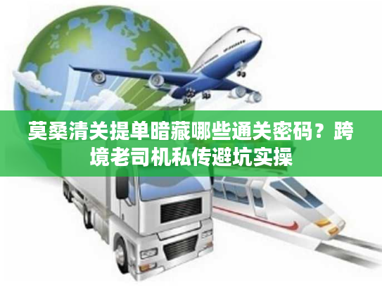 莫桑清关提单暗藏哪些通关密码？跨境老司机私传避坑实操