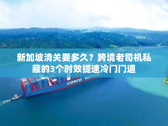 新加坡清关要多久？跨境老司机私藏的3个时效提速冷门门道