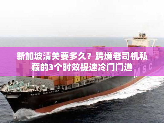 新加坡清关要多久？跨境老司机私藏的3个时效提速冷门门道