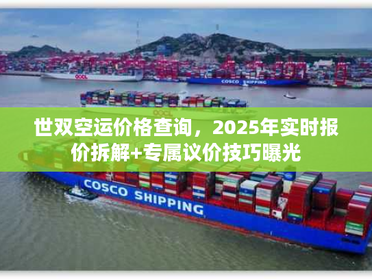 世双空运价格查询，2025年实时报价拆解+专属议价技巧曝光
