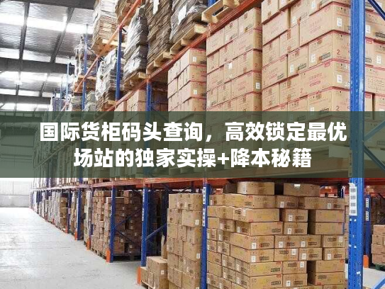 国际货柜码头查询，高效锁定最优场站的独家实操+降本秘籍