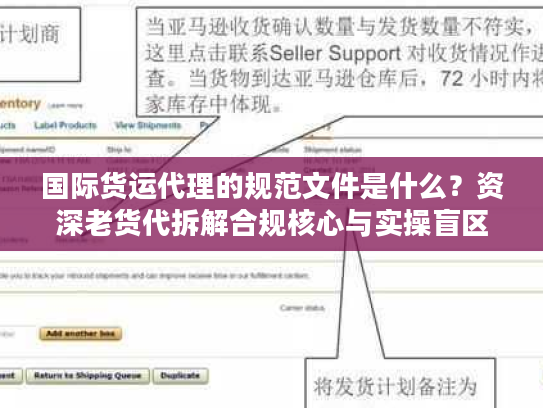 国际货运代理的规范文件是什么？资深老货代拆解合规核心与实操盲区