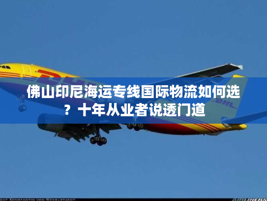 佛山印尼海运专线国际物流如何选？十年从业者说透门道