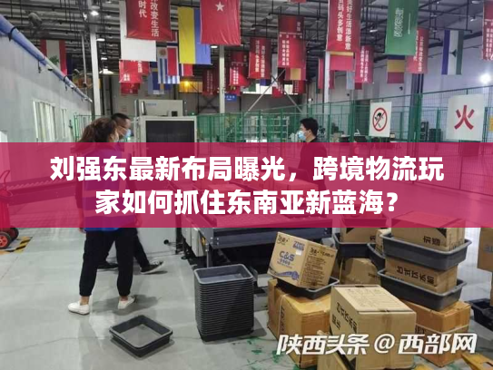 刘强东最新布局曝光，跨境物流玩家如何抓住东南亚新蓝海？