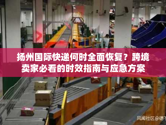 扬州国际快递何时全面恢复？跨境卖家必看的时效指南与应急方案
