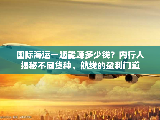 国际海运一趟能赚多少钱？内行人揭秘不同货种、航线的盈利门道