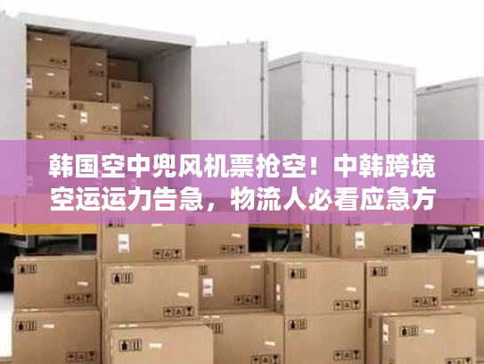 韩国空中兜风机票抢空！中韩跨境空运运力告急，物流人必看应急方案