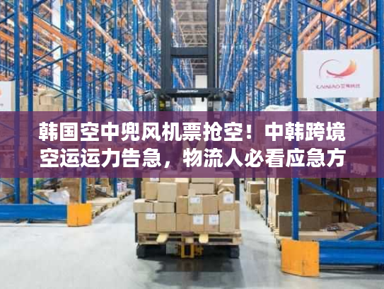 韩国空中兜风机票抢空！中韩跨境空运运力告急，物流人必看应急方案