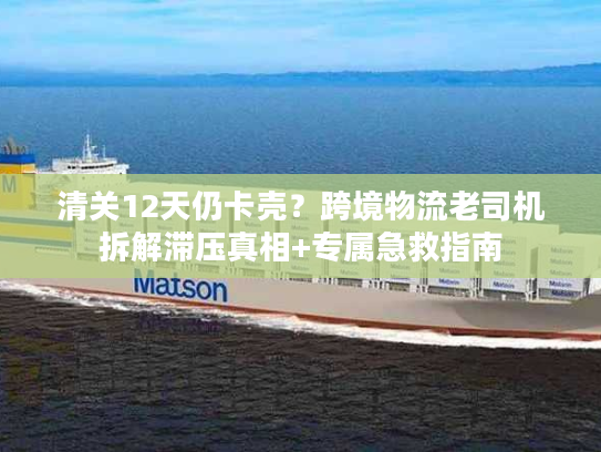 清关12天仍卡壳？跨境物流老司机拆解滞压真相+专属急救指南